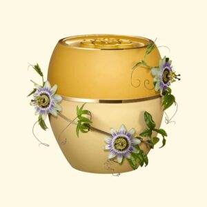 Passion Fruit Kernel Extract Protective Balm