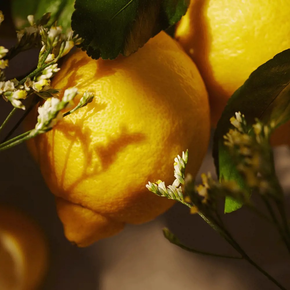 Essense&co. Lemon and Verbena Extract Hand and Body Lotion